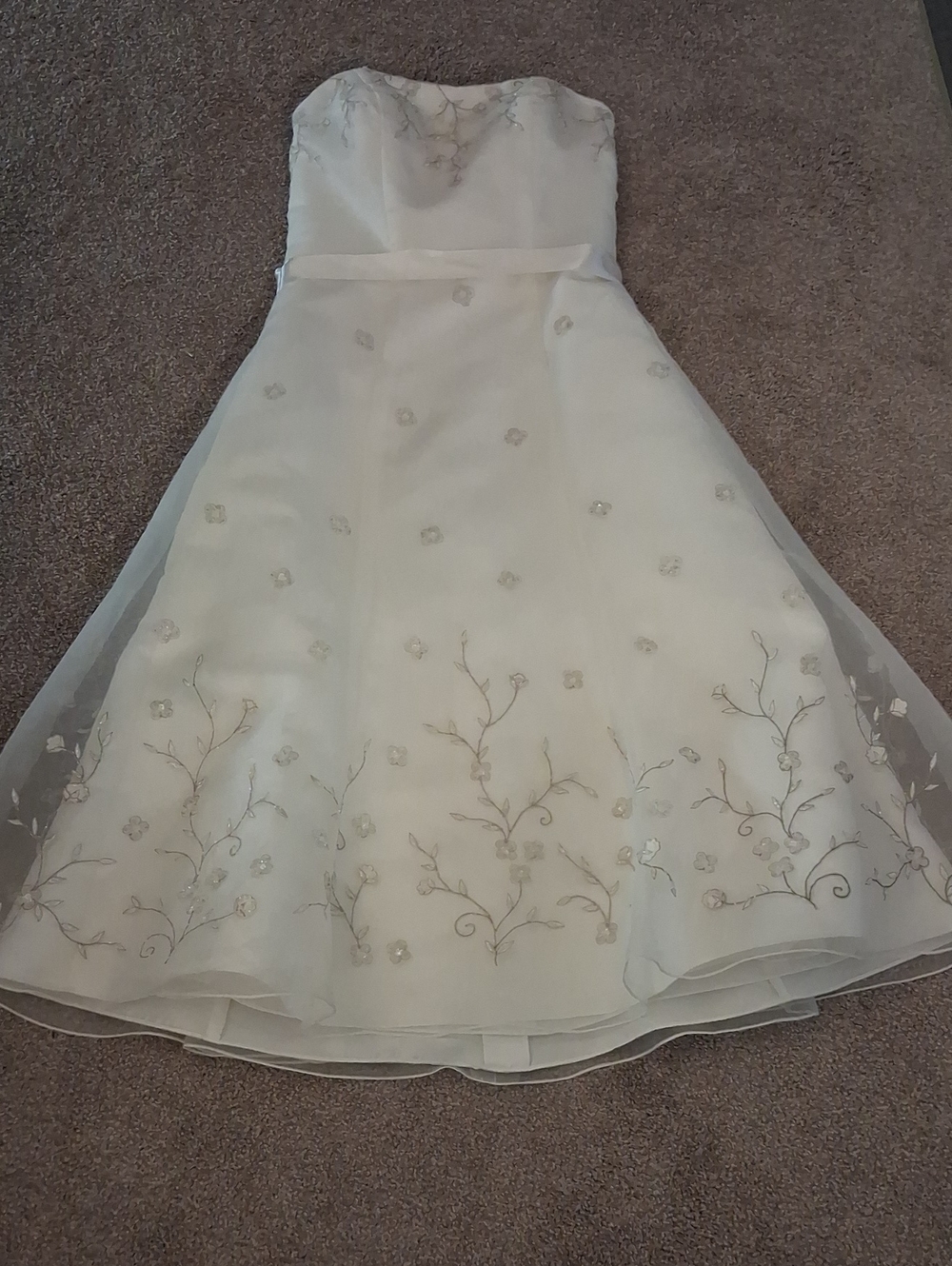 David's Bridal Ivory Galina Strapless Floral Dress.Silver Shimmery Motif.  (4)